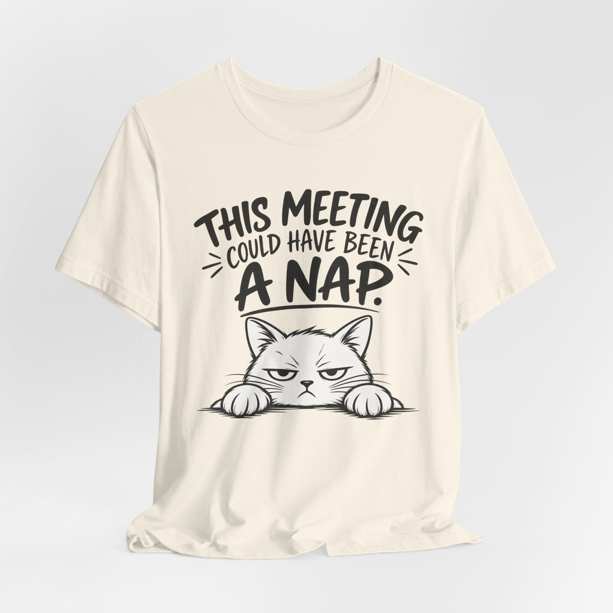 This Meeting Could Have Been a Nap T-Shirt