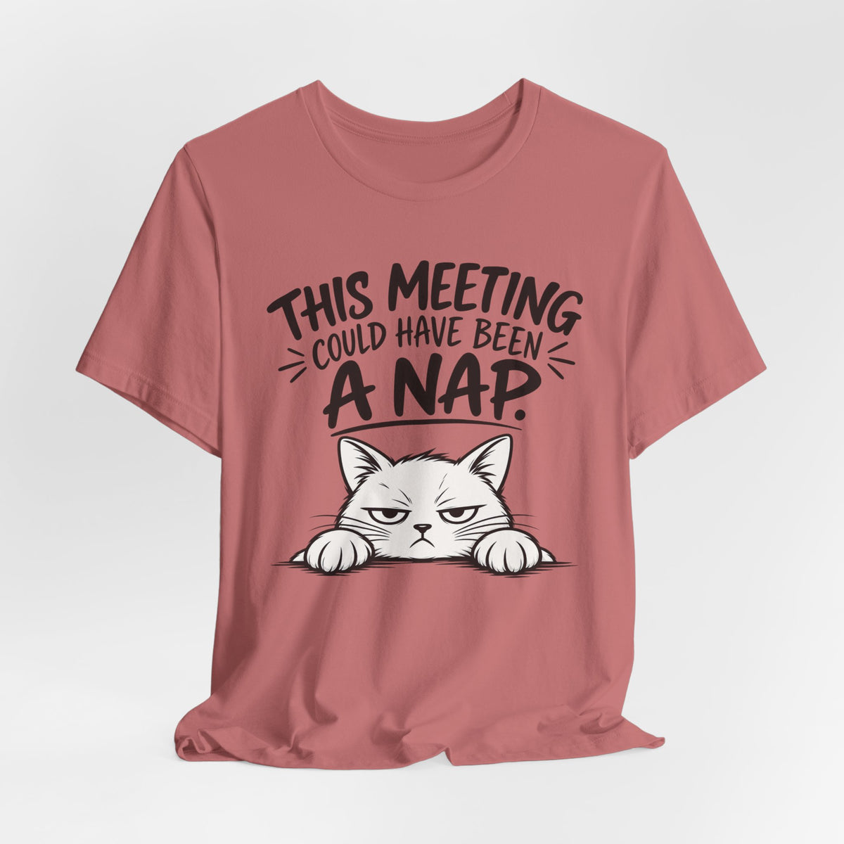 This Meeting Could Have Been a Nap T-Shirt